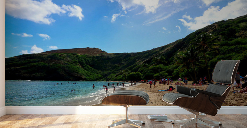 Hello Beaches 2C Wall Murals