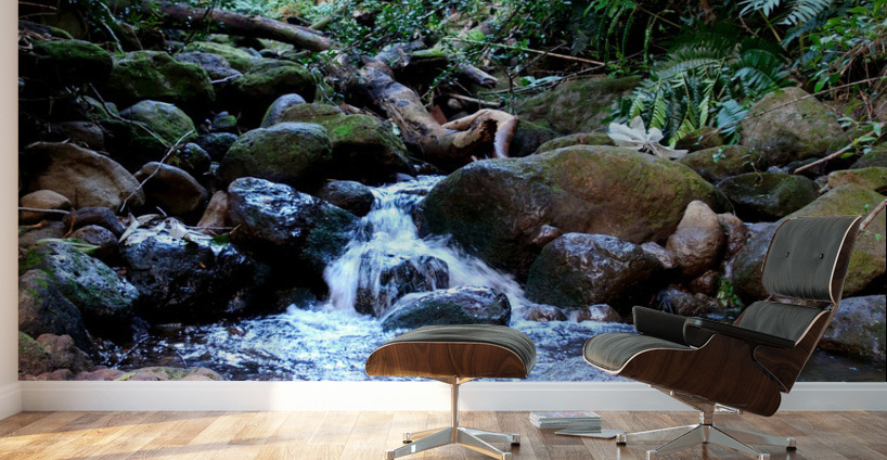 Hiking Hawaii Water Flow Wall Murals