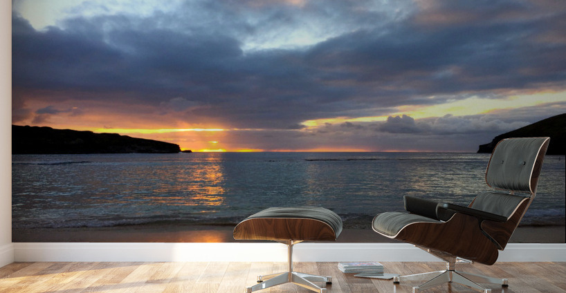 Paradise Found Wall Murals