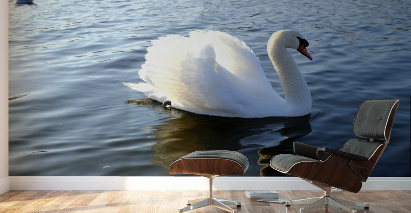 Wings of Love 2B Wall Murals