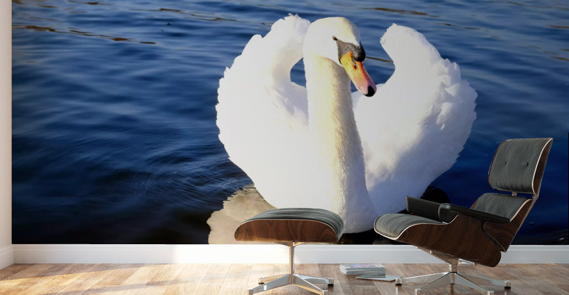 Wings of Love 2 Wall Murals