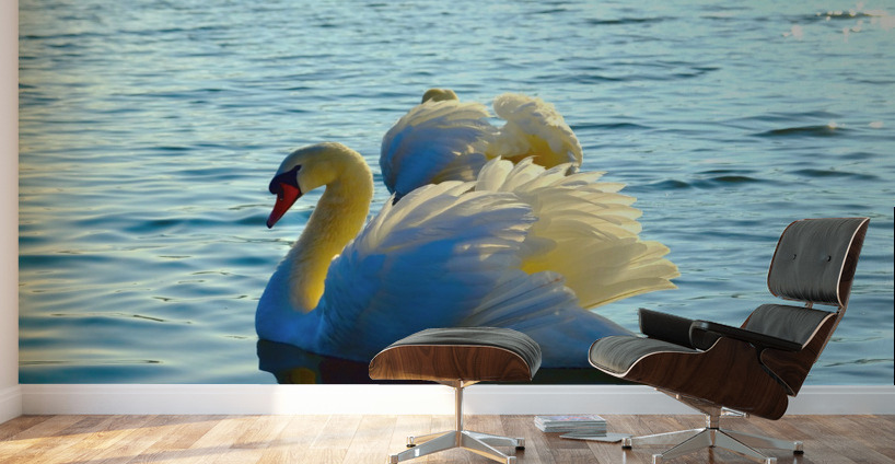 Wings of Love Pair Wall Murals