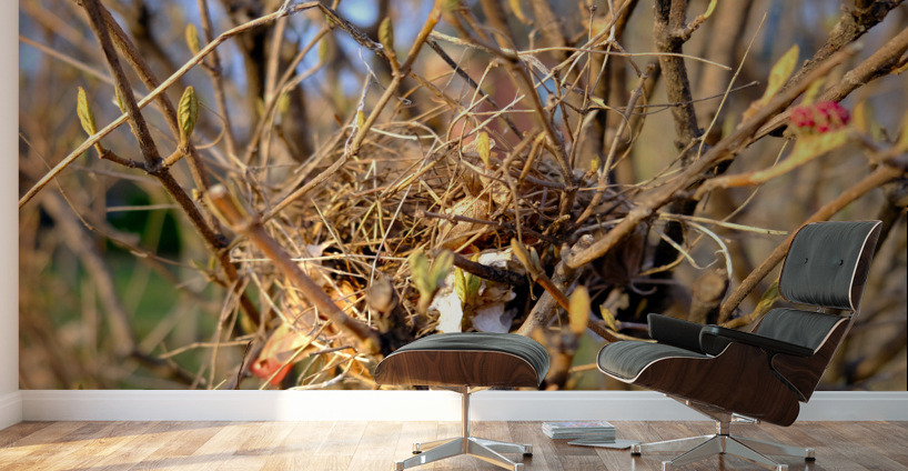 Sanctuary Among Branches Wall Murals