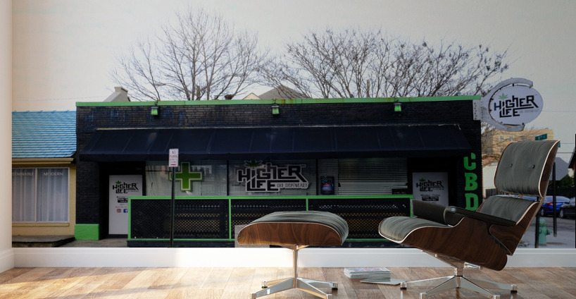 “CBD & Concrete” – Raw Real and Rooted Wall Murals