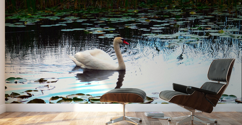 Silent Glide Wall Murals