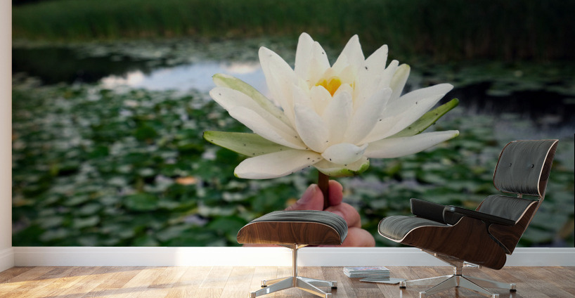 Lifting Beauty Wall Murals