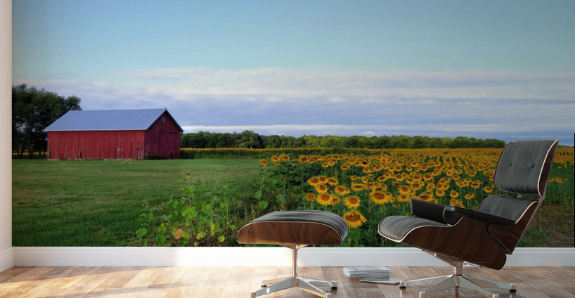 Golden Silence Wall Murals