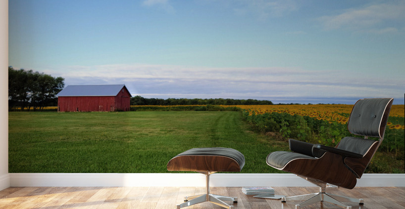 Raising Sunshine Sunflower Farm Wall Murals