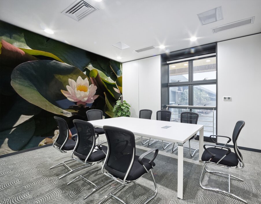 Sun-Kissed Petals: A Lilys Morning Wall Printing