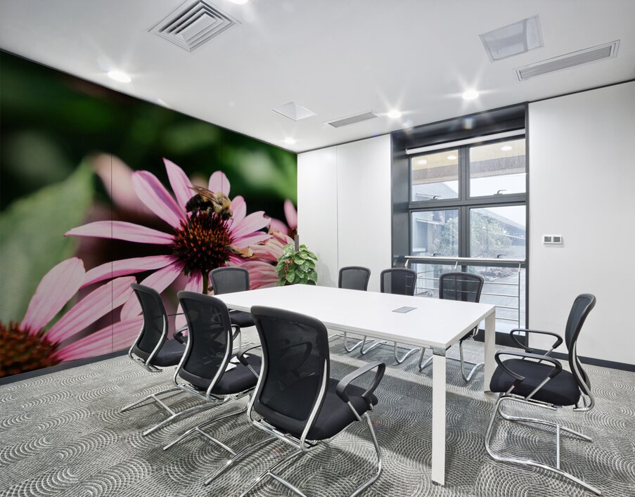 Coneflower and the Resting Wanderer Wall Printing