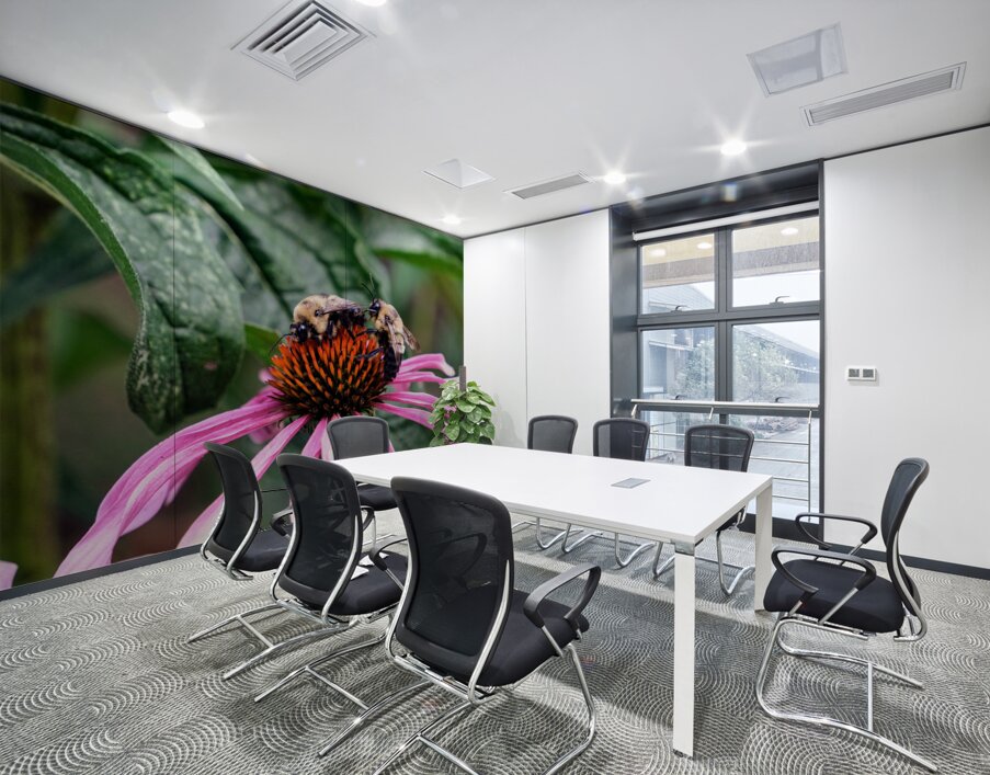 Dual Architects of Life on a Coneflower Stage Wall Printing