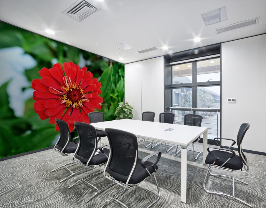 A Zinnia in Meditative Bloom Wall Printing