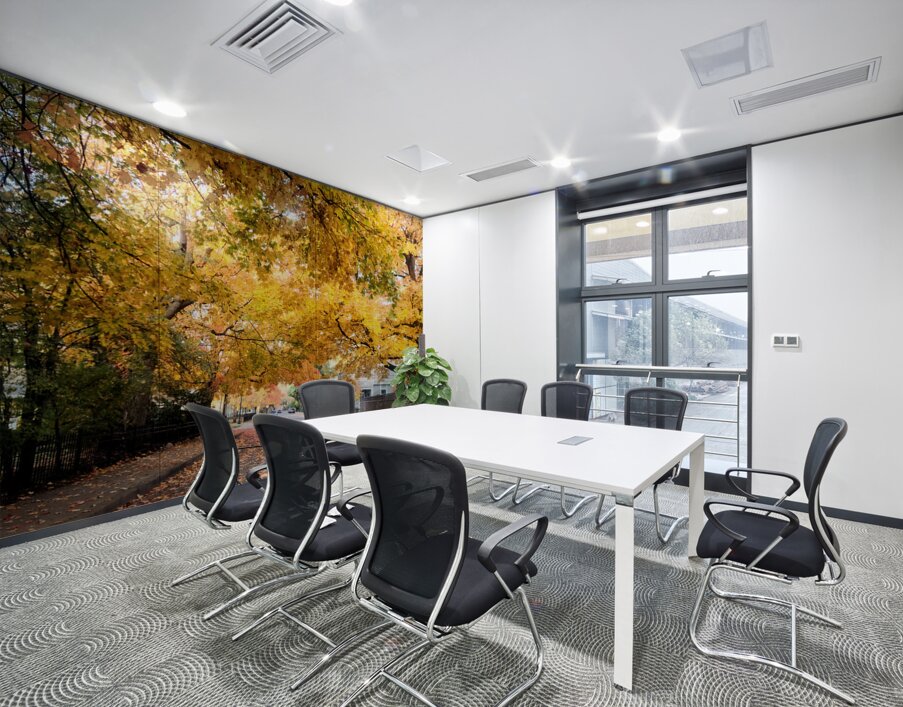 Fall Over the Road: Amber Dreams on Autumn Drive Wall Printing