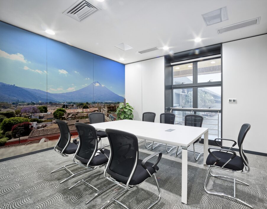 IMG 0157 Wall Printing