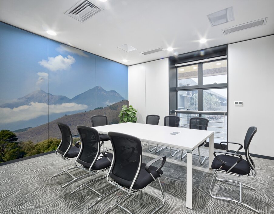 IMG 0088 Wall Printing