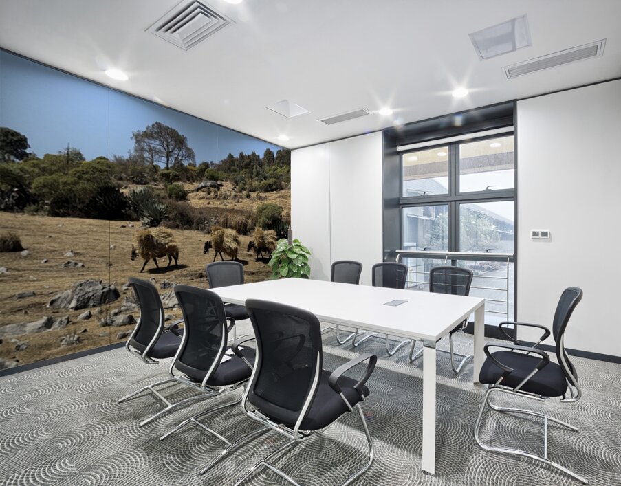 IMG 9558 Wall Printing