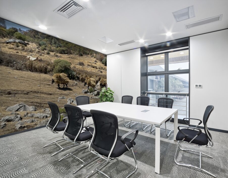 IMG 9556 Wall Printing