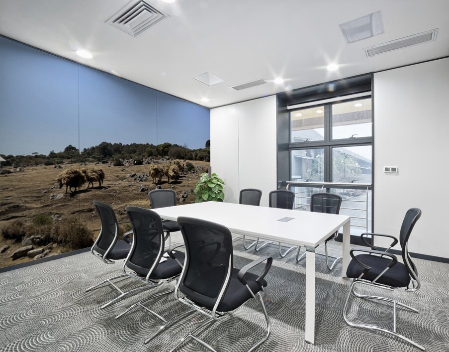 IMG 9563 Wall Printing