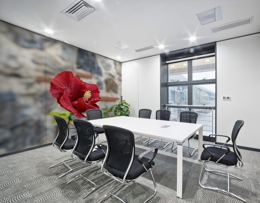 IMG 9957 Wall Printing