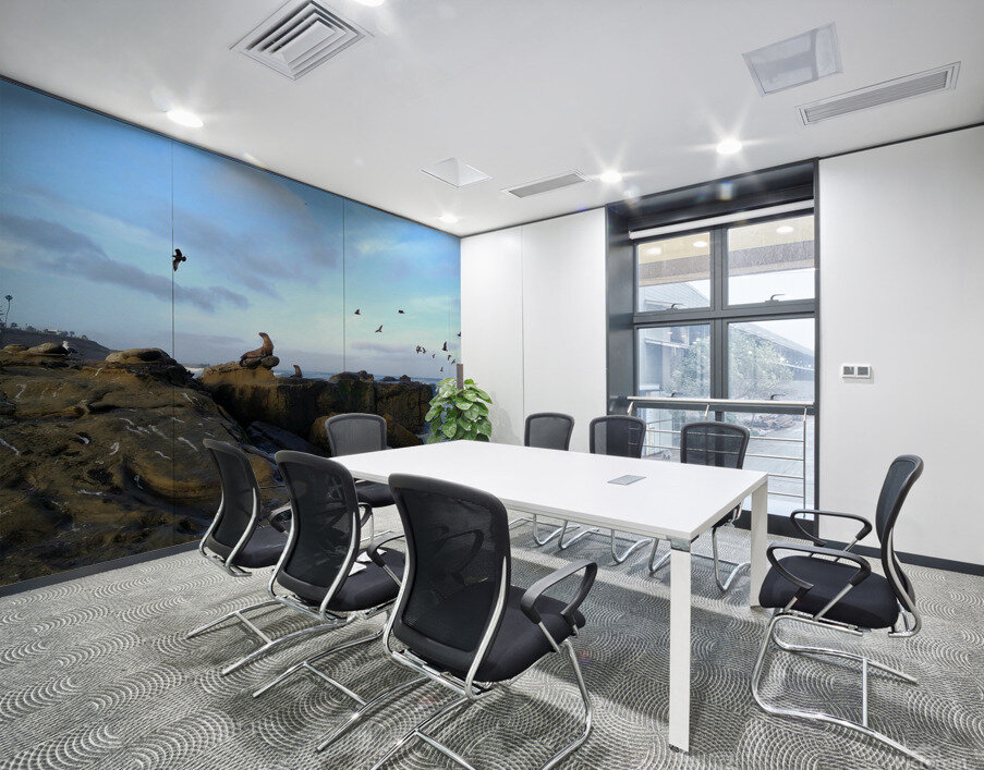 Seal Bird Watching 2 Wall Printing