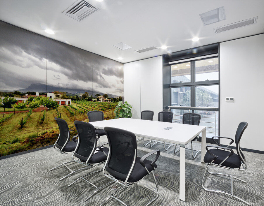 Vineyard in South Africa Wall Printing