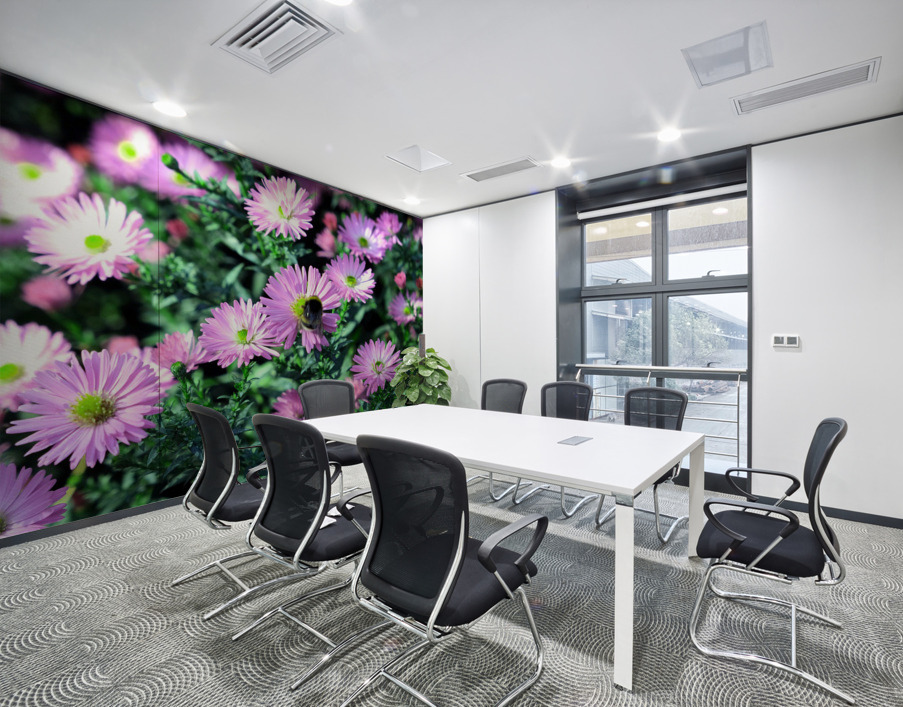 Pink Daisies 2C Wall Printing