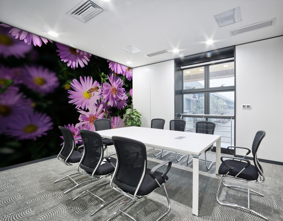 Pink Daisies 2B Wall Printing