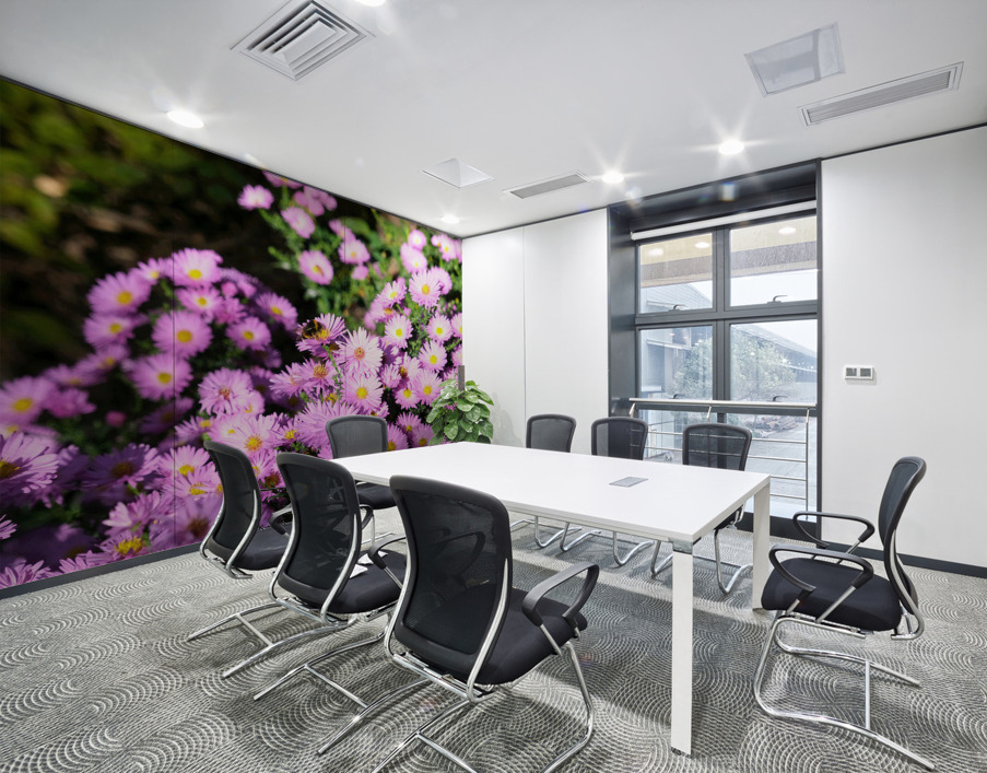 Pink Daisies  Wall Printing