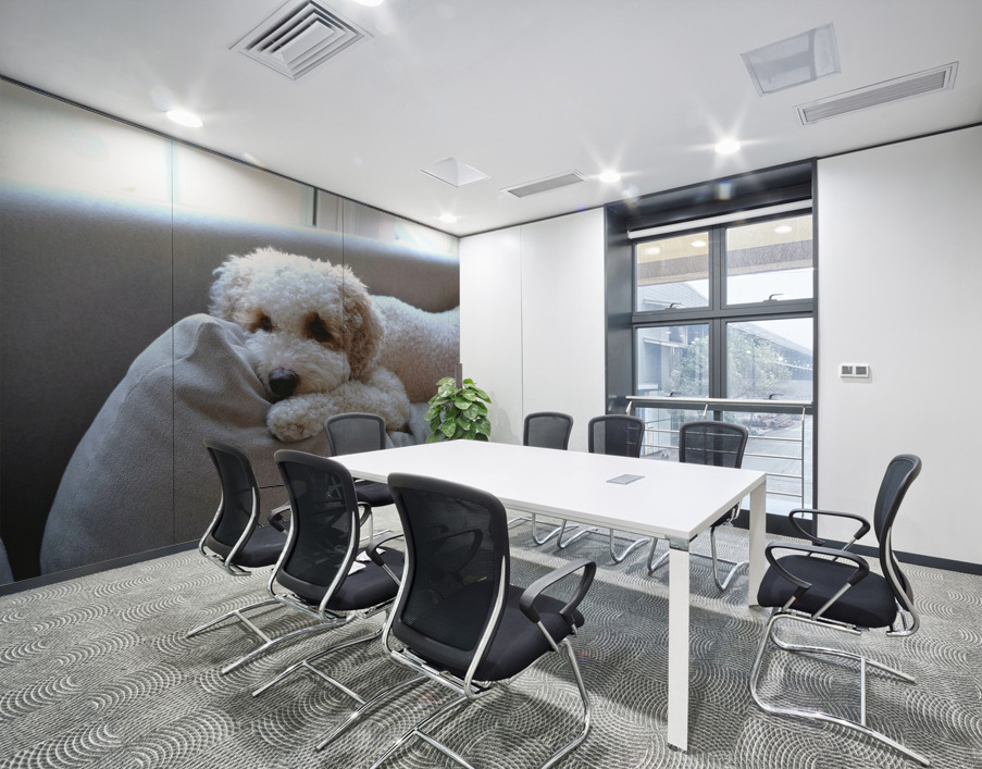 Patient Pooch Finn Wall Printing