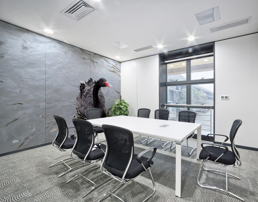 A Black Swan Moment  Wall Printing