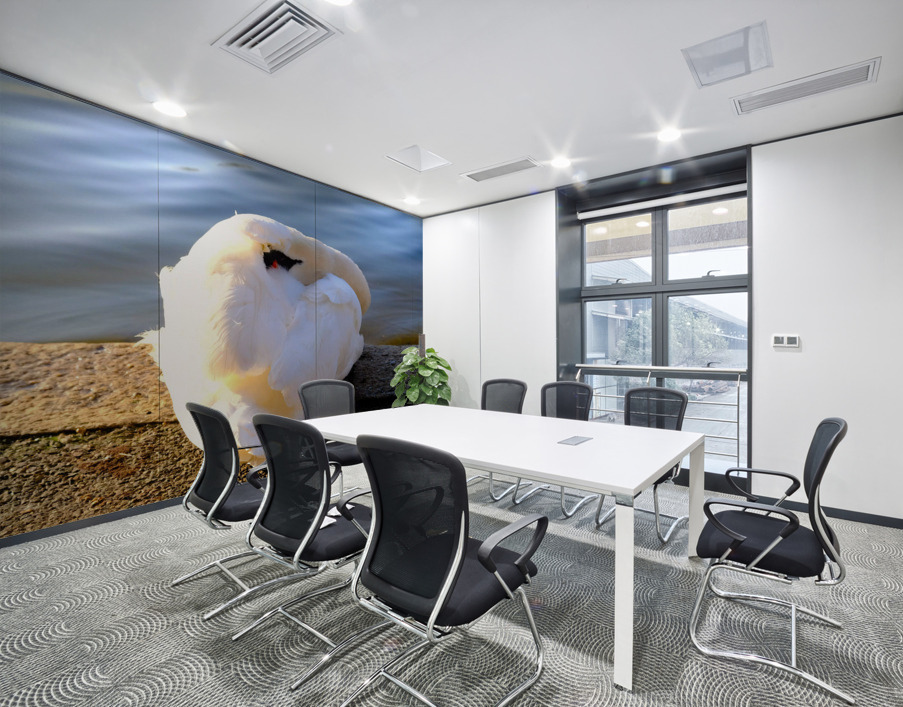 Wake Me Up Later Snoozing Swan  Wall Printing