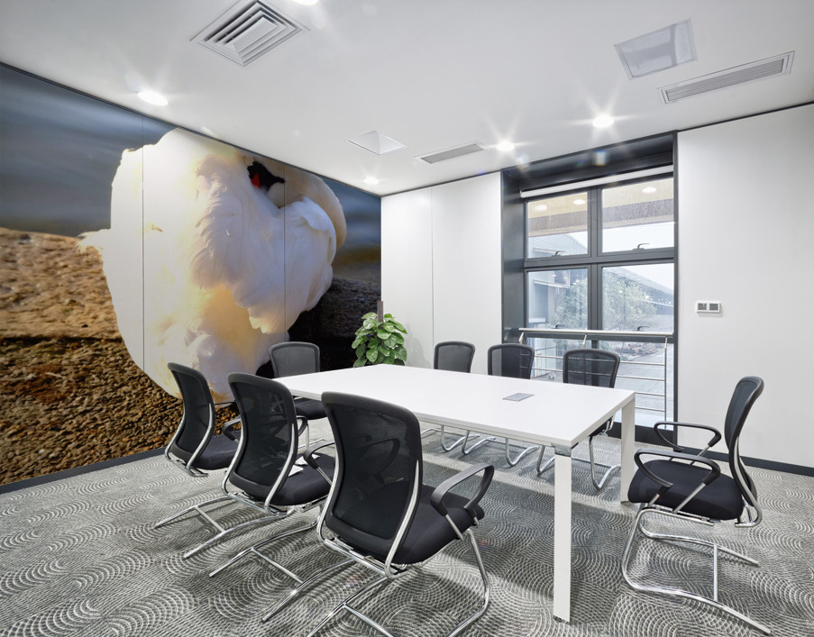 Swan at Rest Wall Printing