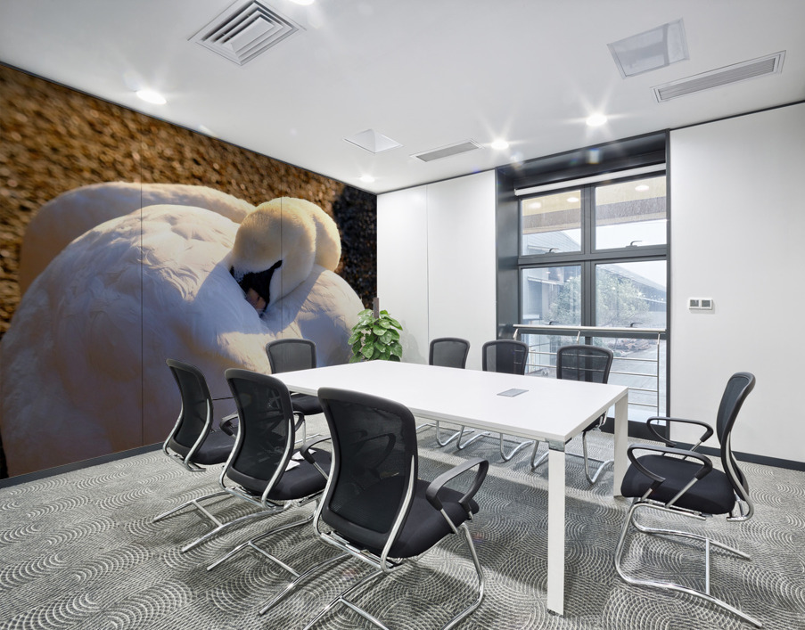 Got My Eye On You Swan Wall Printing