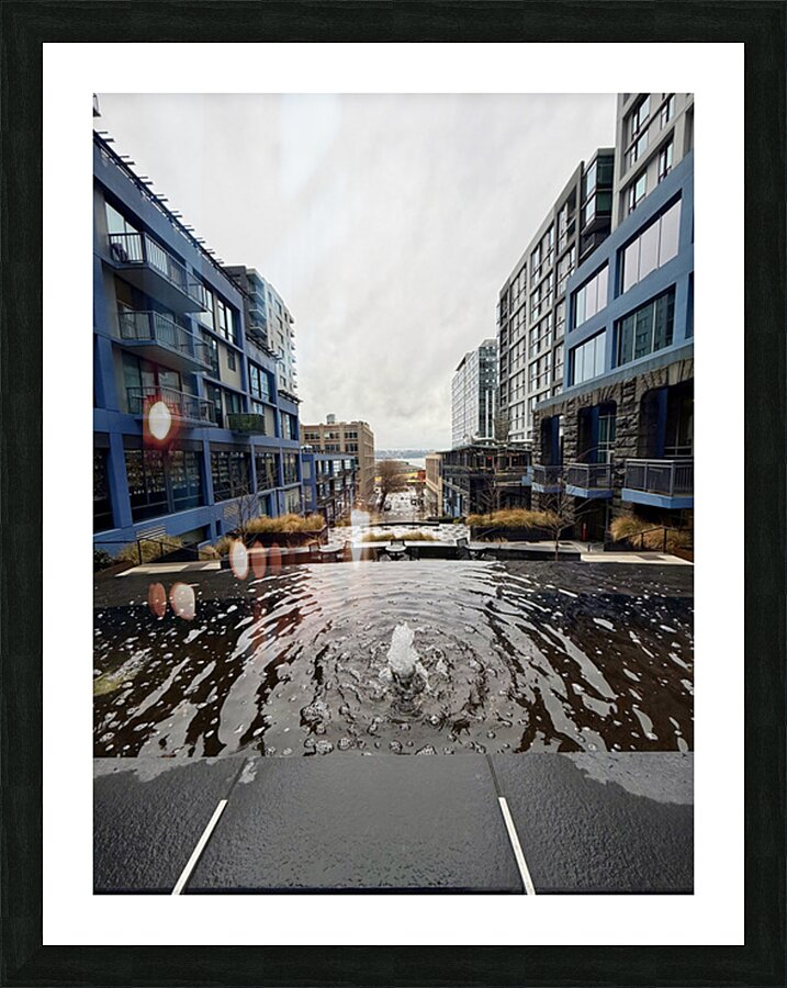 IMG 8437 Picture Frame print