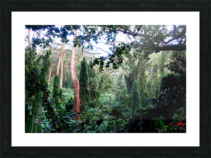 Welcome to Jurassic Park Picture Frame print