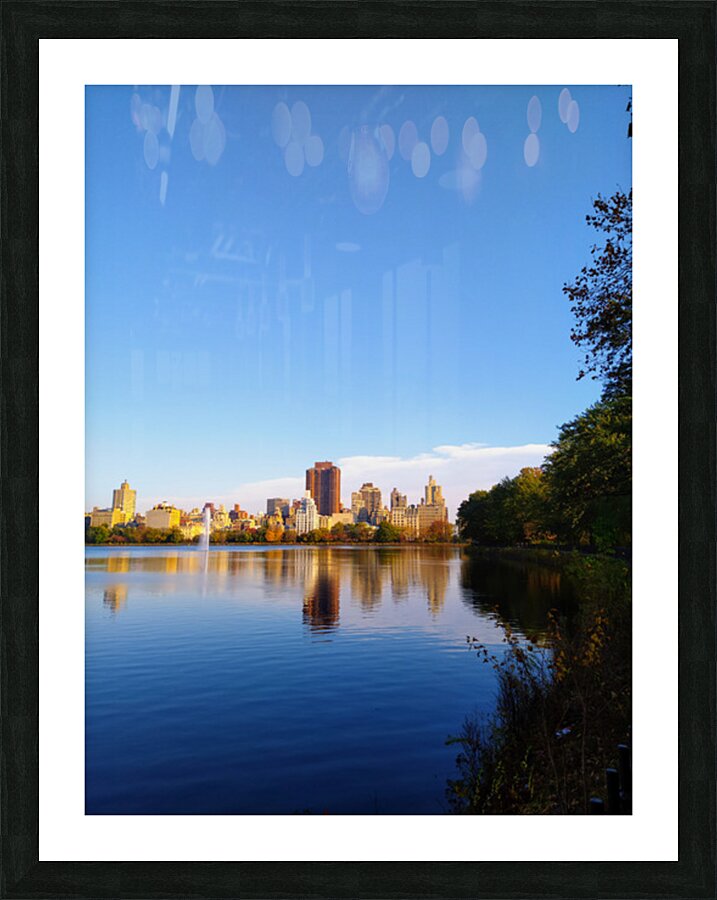 Urban Oasis Picture Frame print