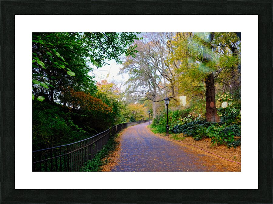 Autumn Stroll Picture Frame print