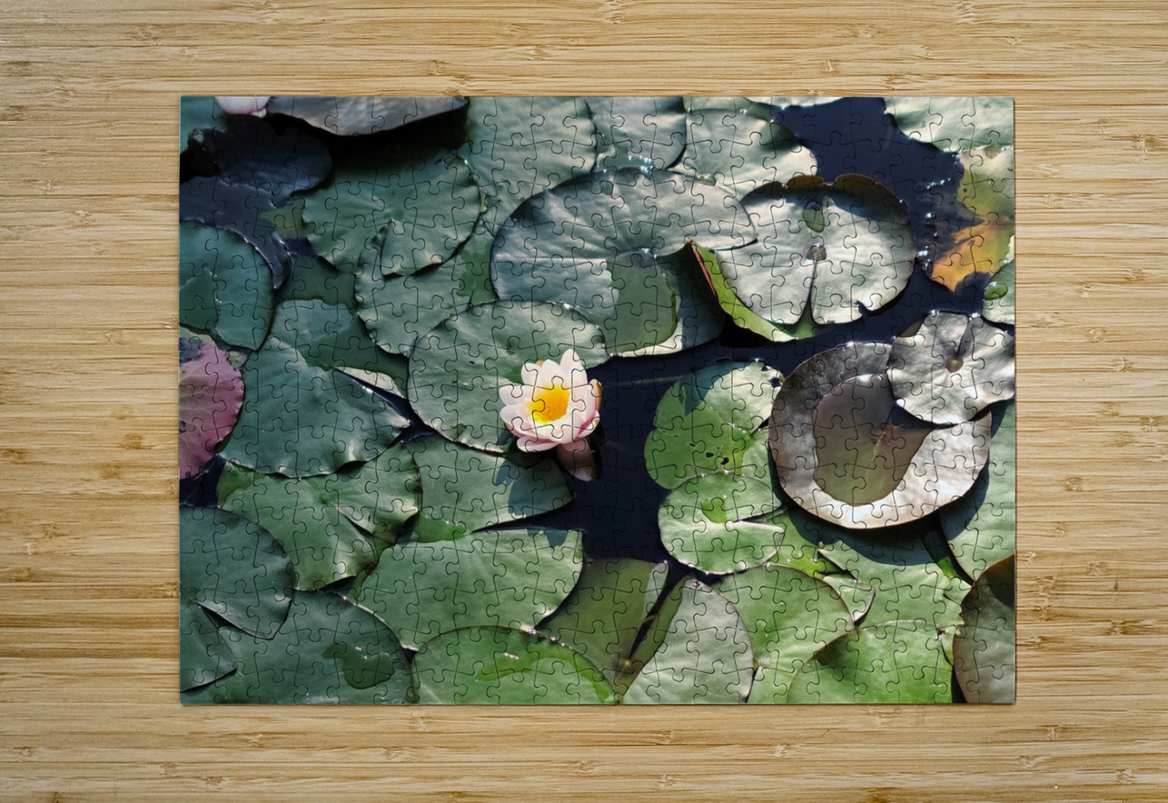 Sunlit Lily Click4Pix Puzzle printing