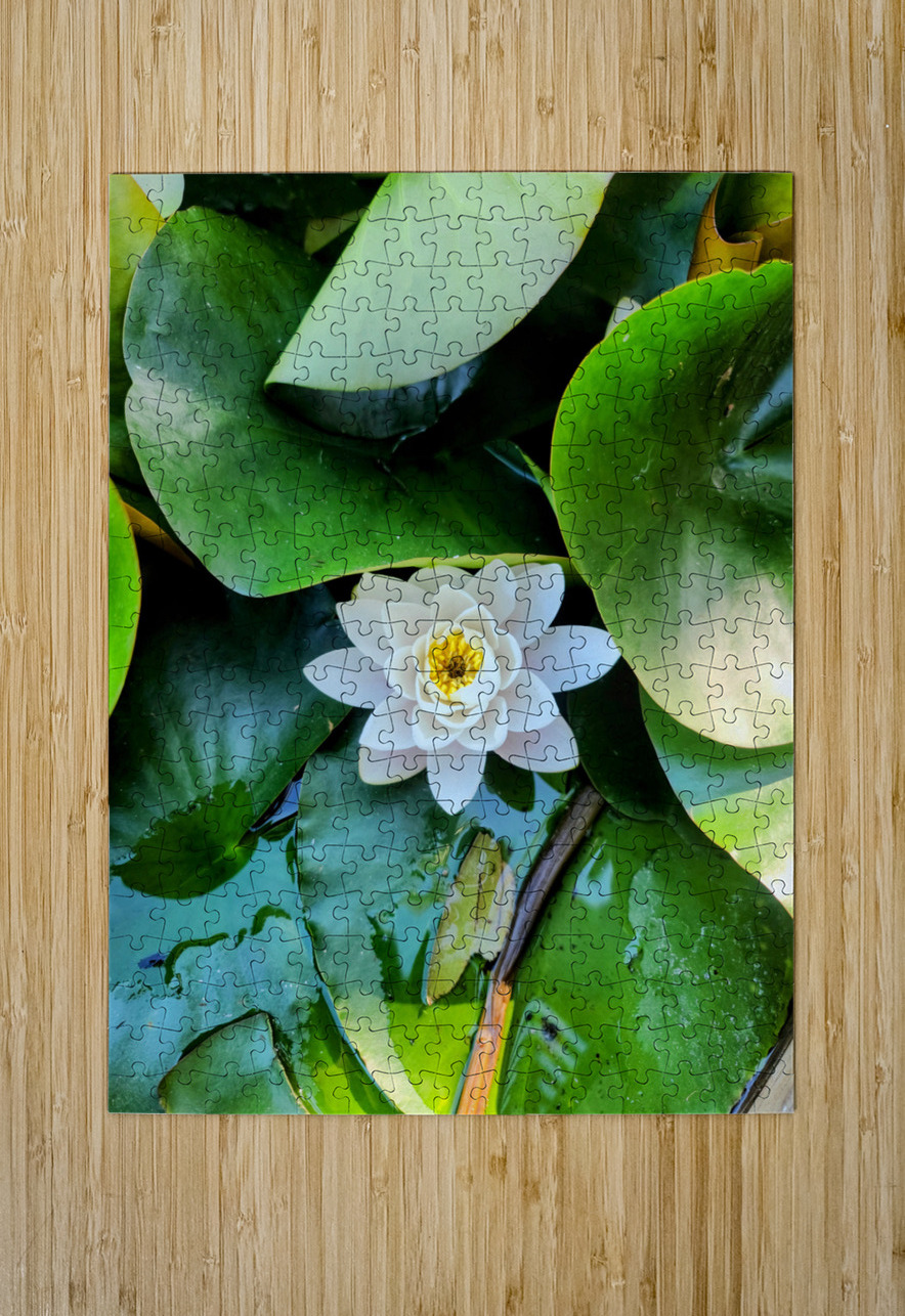 White Radiance in Green Silence Click4Pix Puzzle printing