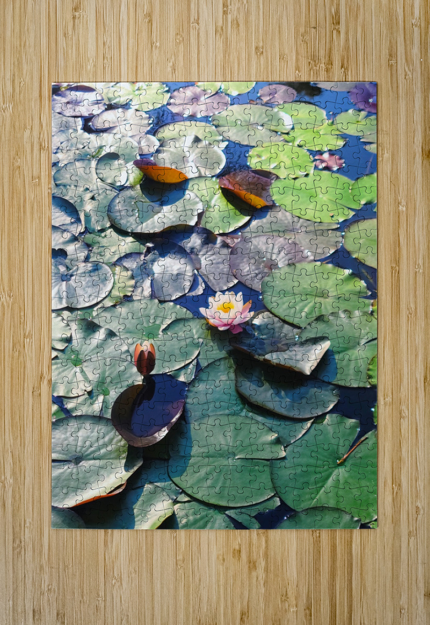 Lotus Lily Love: Promise of the Bloom Click4Pix Puzzle printing