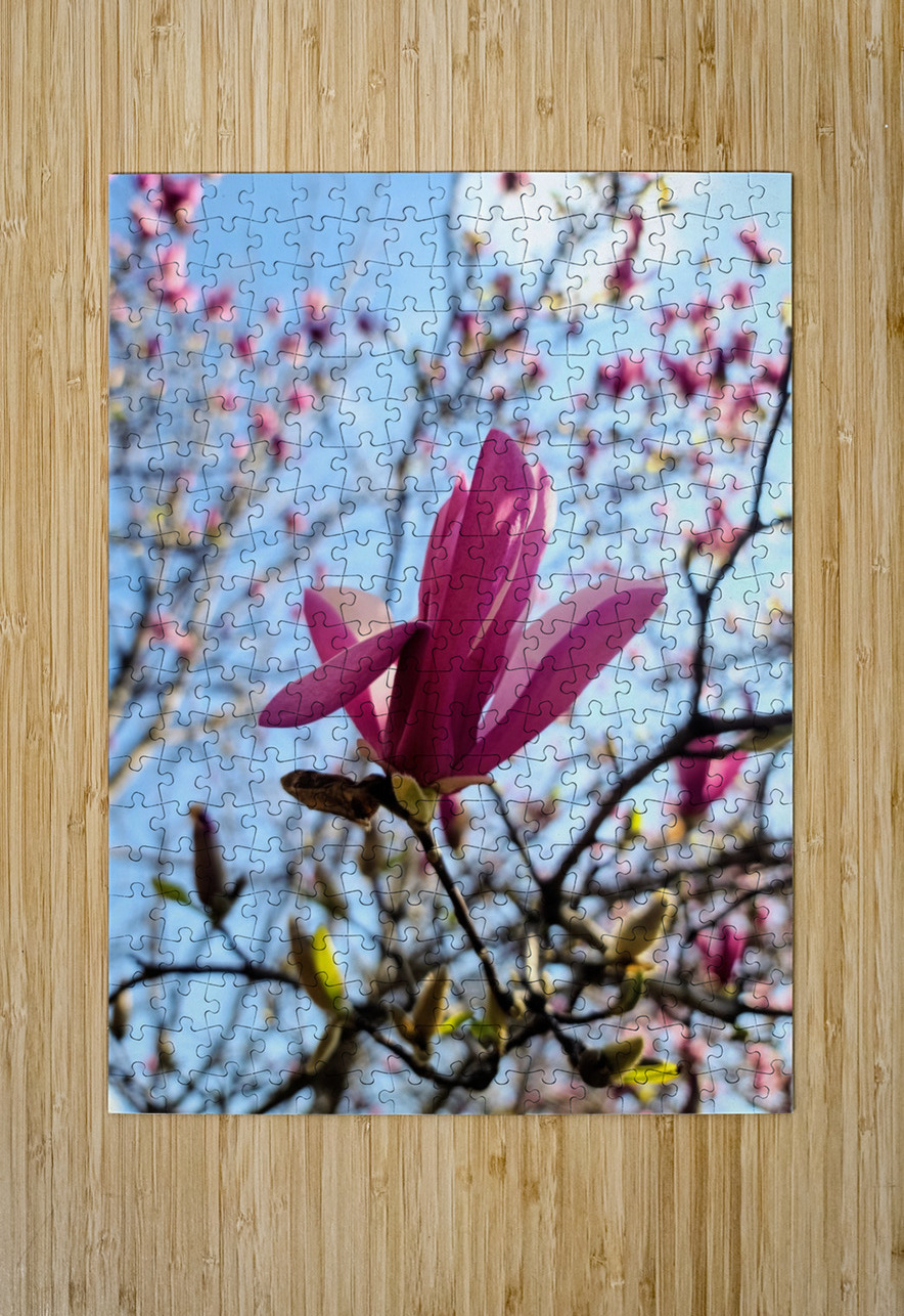 The Quiet Language of Petals Click4Pix Puzzle printing