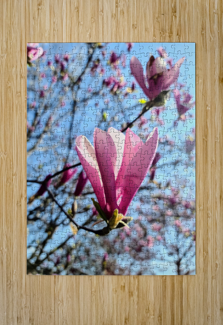 A Magnolias First Embrace of Light Click4Pix Puzzle printing