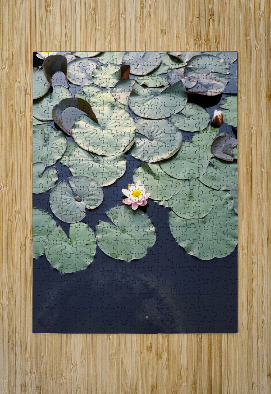 Blooms of Joy: Centered Among Giants Click4Pix Puzzle printing