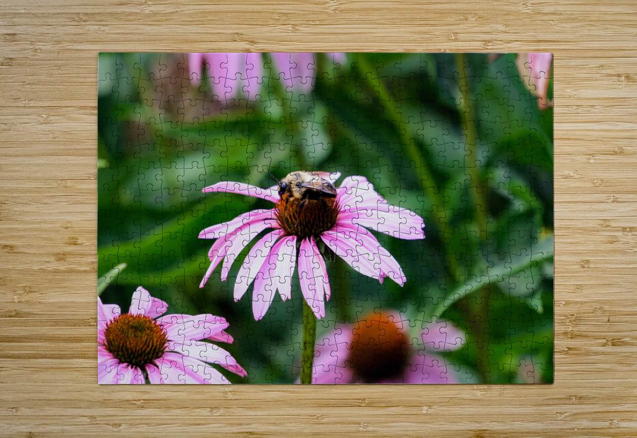 Wings of Purpose Petals of Peace: Coneflower Moment Click4Pix Puzzle printing