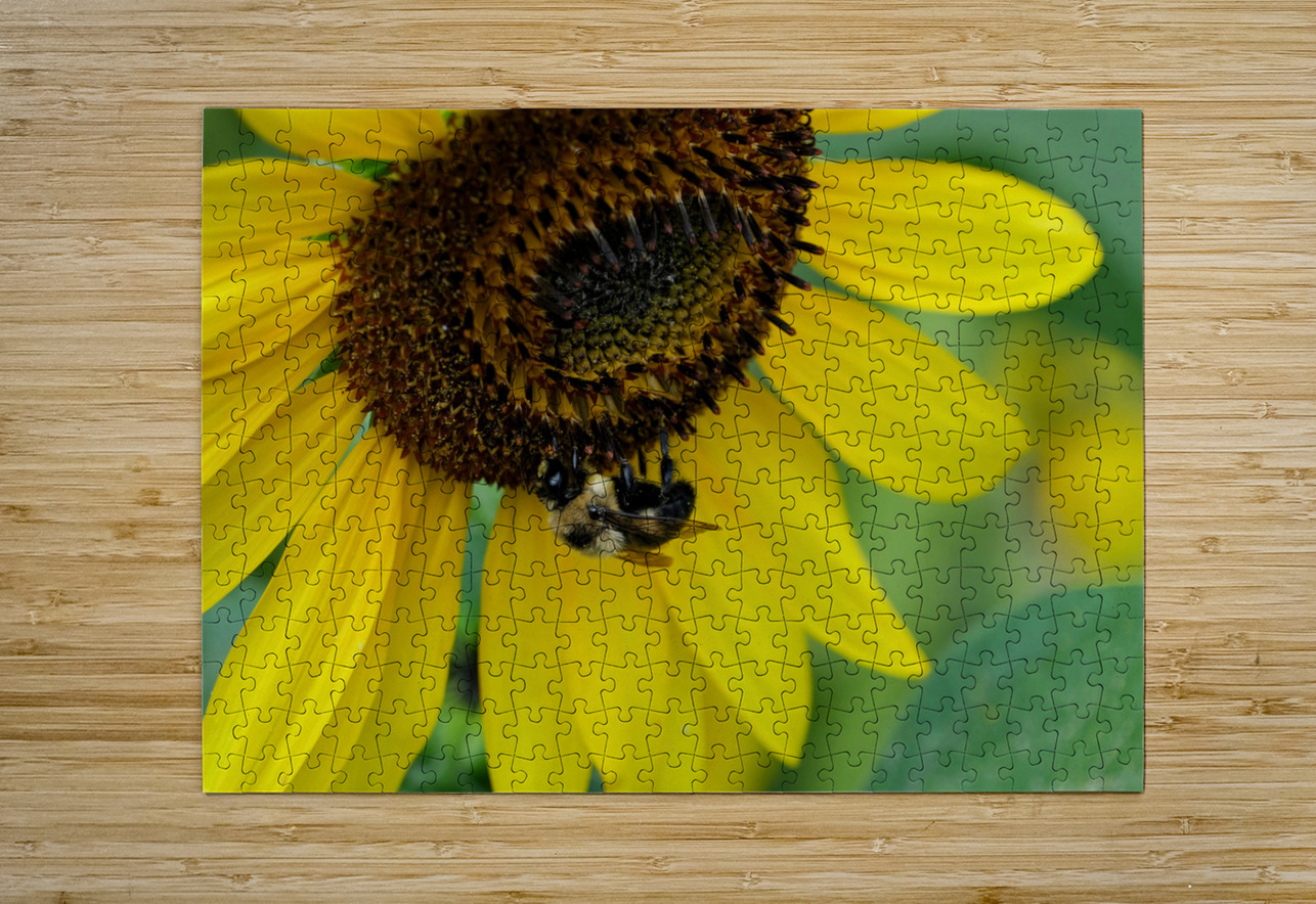Bee Under the Sunflower:  The Architect of Harvest Click4Pix Puzzle printing