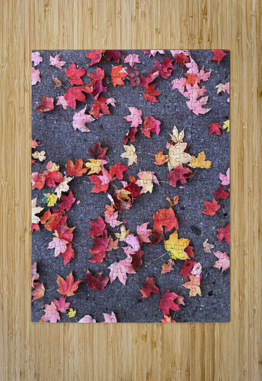 Grounded in Colors 1B Click4Pix Puzzle printing