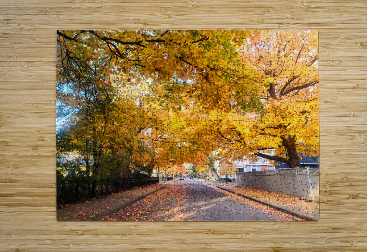 Fall Over the Road Click4Pix Puzzle printing