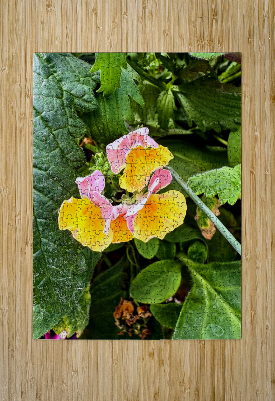 Pocketful of Sunshine Click4Pix Puzzle printing