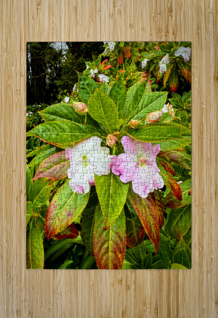 Floravox: The Soft-Spoken Twins Click4Pix Puzzle printing