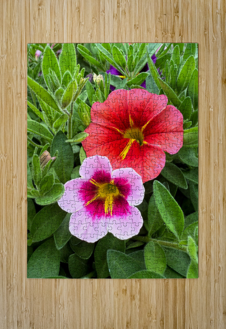 Duet in Full Color Click4Pix Puzzle printing